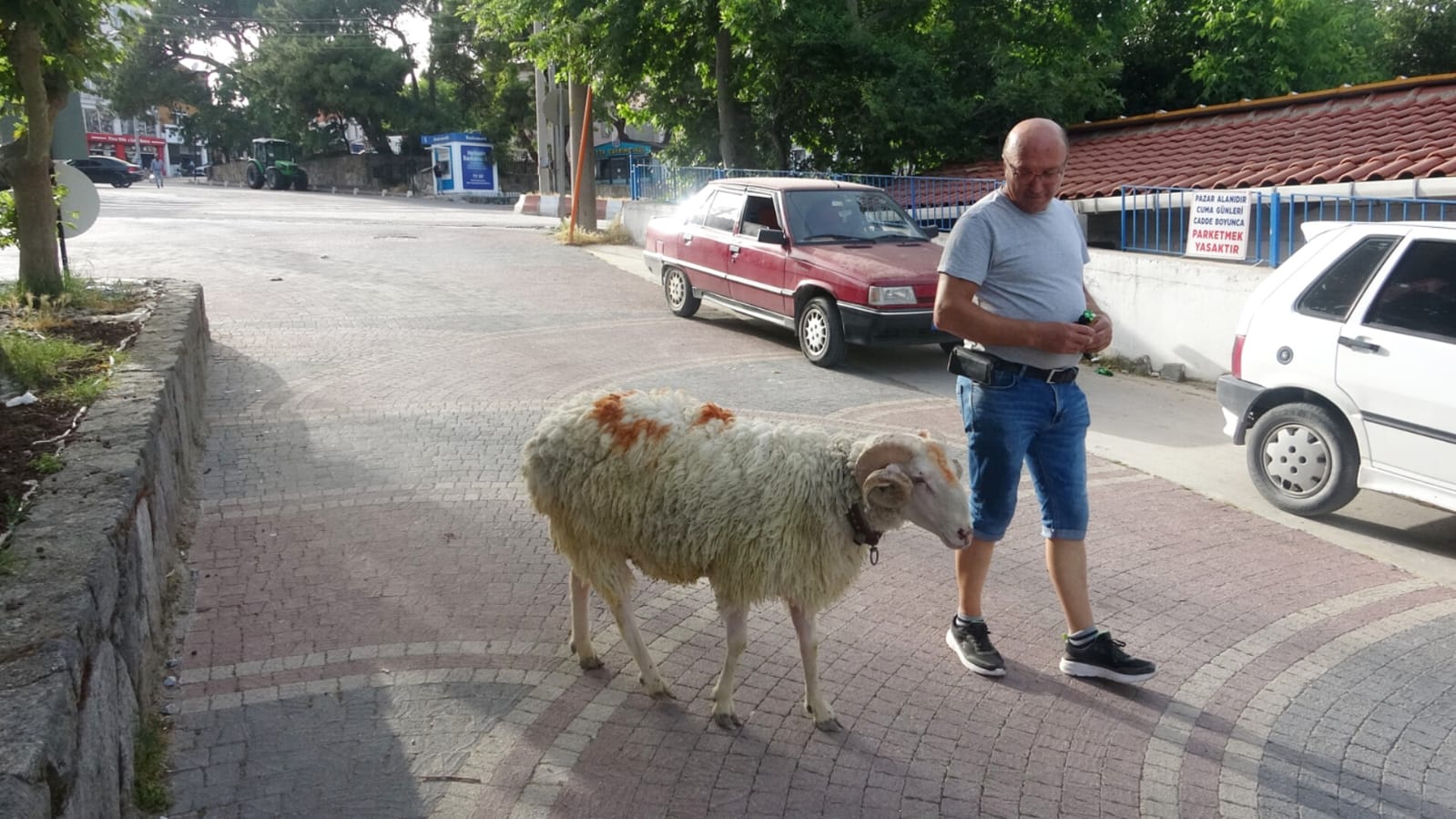 Çanakkale Ayvacık