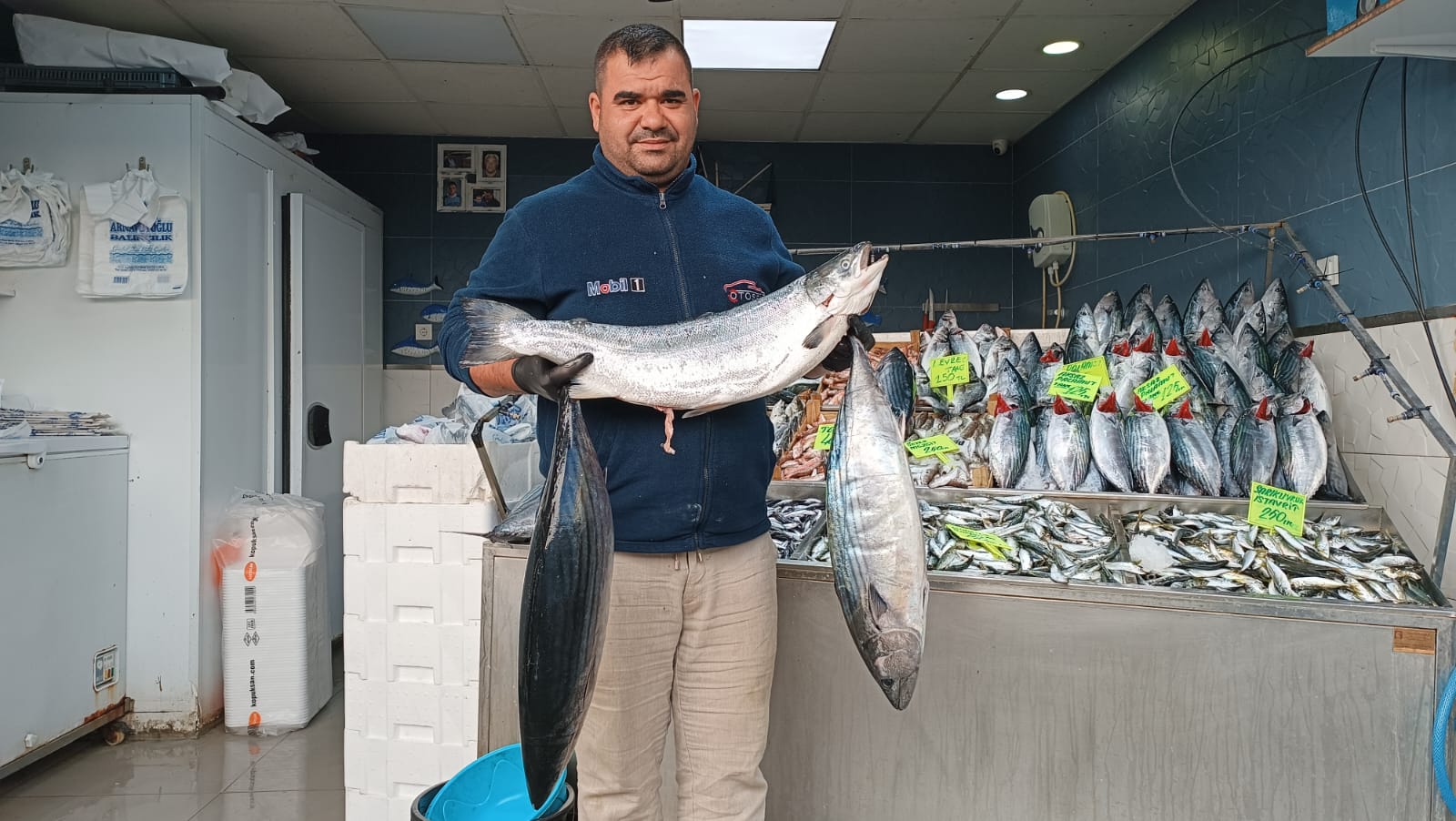 Çanakkale Biga’da Dev Torik Rüzgarı 1000 Tl’ye Alıcı Buluyor!5