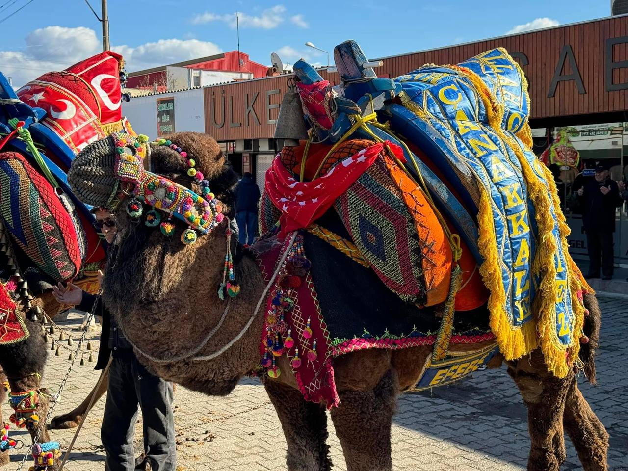 Çanakkale Çan'da Havut Giydirme Hayrı Yapıldı 1