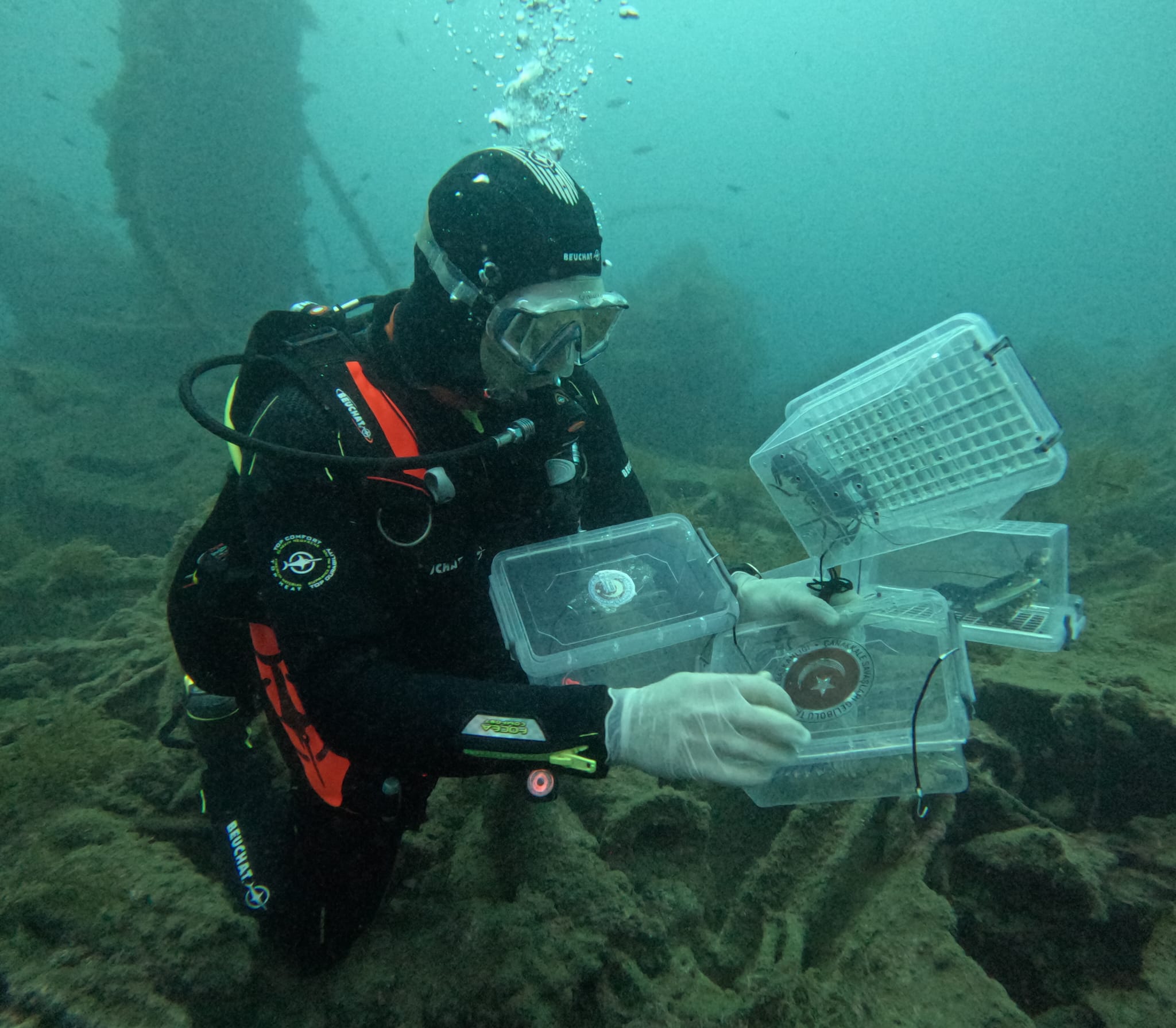 Çanakkale’de “Hms Majestic%22 Batığına 400 Istakoz Bırakıldı1