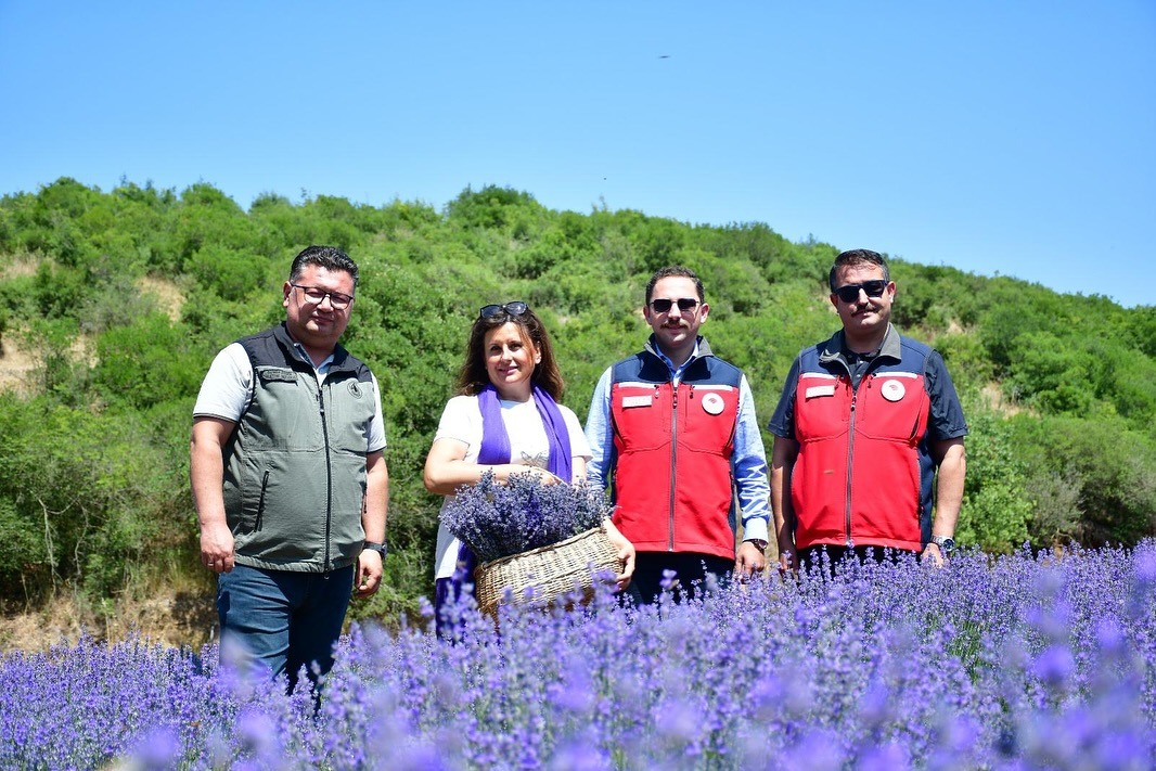 Biga’nın Tek Lavanta Bahçesi Renkleriyle Hayran Bırakıyor2
