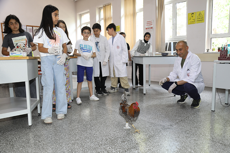 Bi̇lsem Öğrencileri, Ayağı Kopan Horoz Için Protez Yaptı1