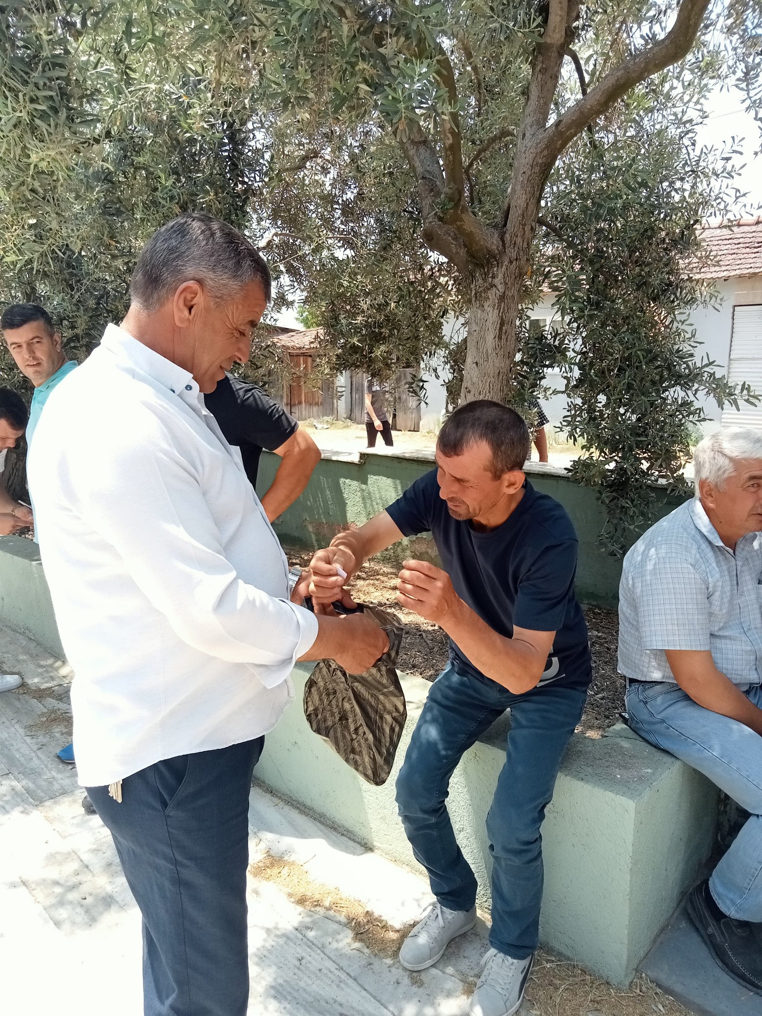 Çanakkale Biga’da Alın Teri Kura Ile Buluştu2