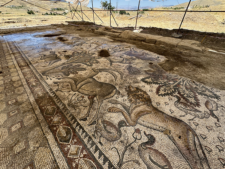 Tarlada Yaklaşık 1700 Yıllık Roma Hamamı Gün Yüzüne Çıkarıldı3