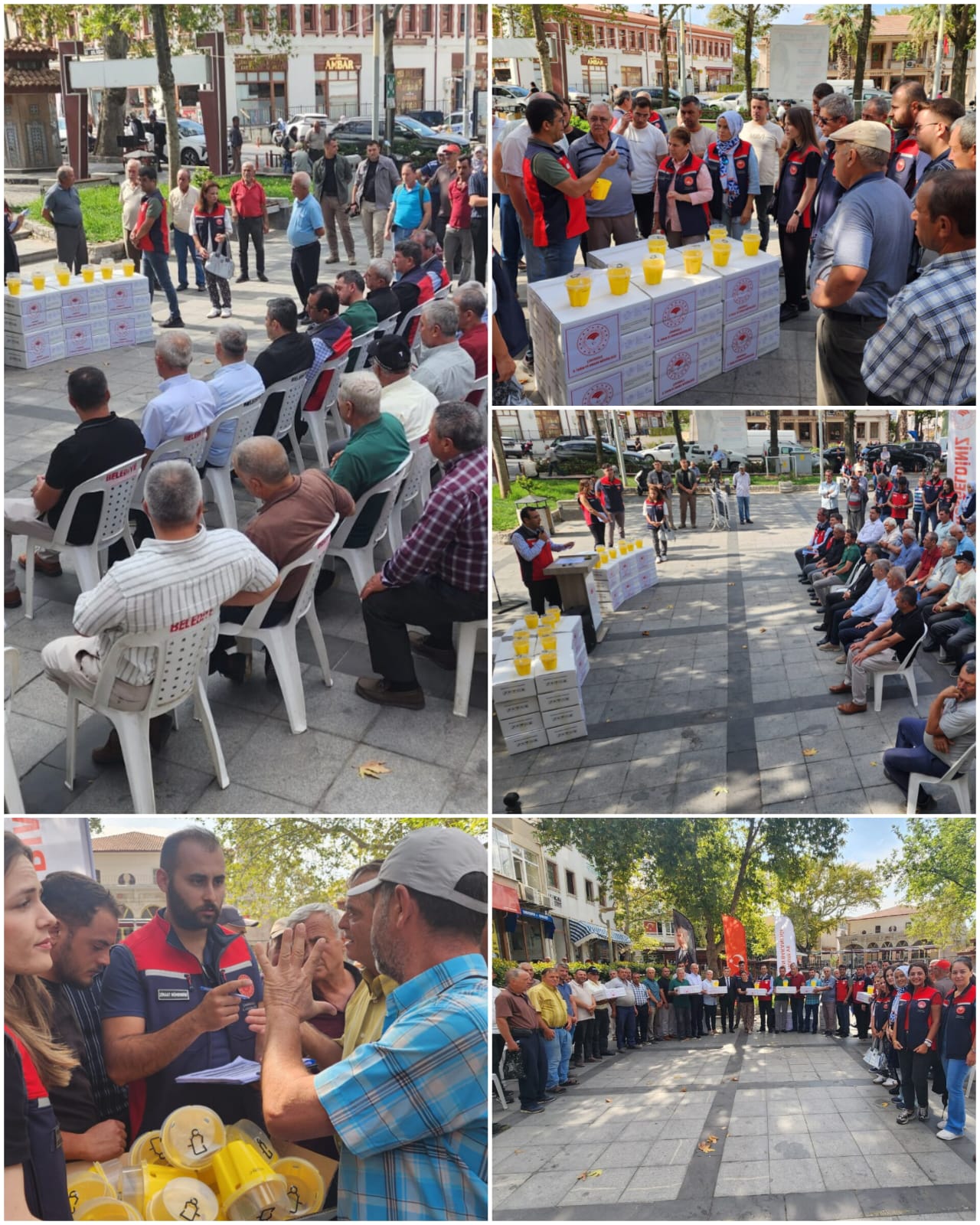 A6860Bad 90D3 4Fa0 B955 Ba69F1F29133