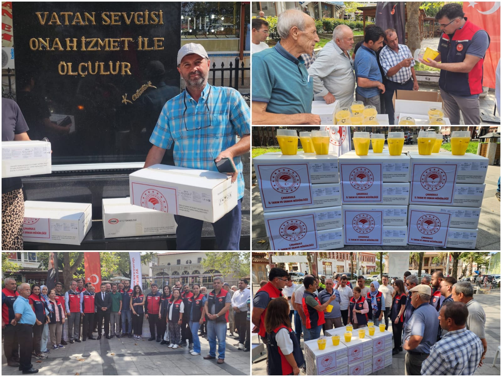 E2D2Ee1F 81C0 47Fc 81Da 3Bf78Db23447