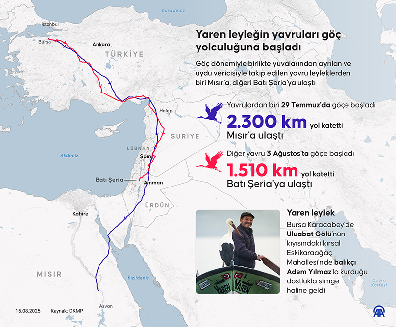Yaren Yavrular Goc