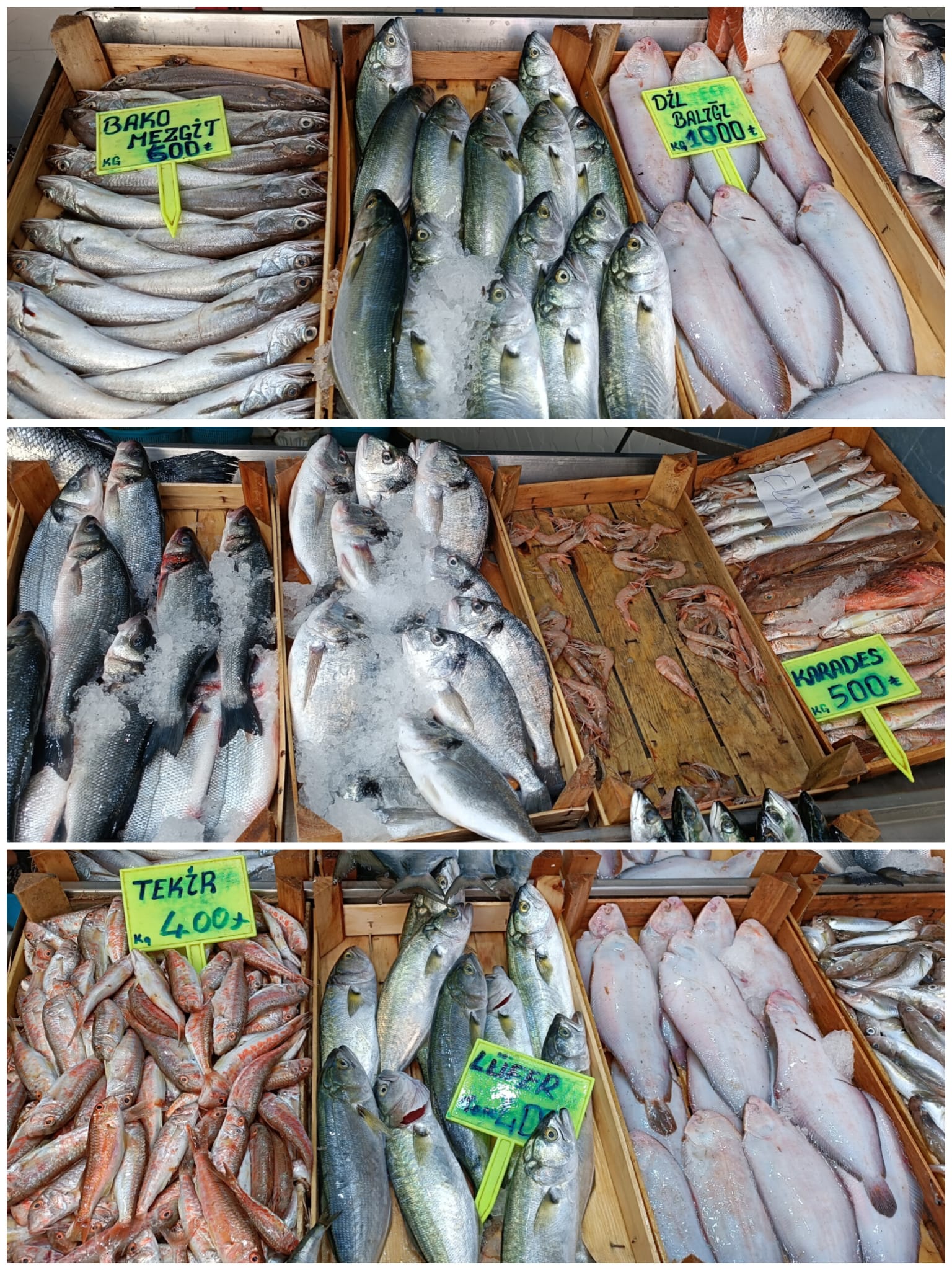 5Fd6Eb85 427B 4463 Ad16 8039Bf71C081