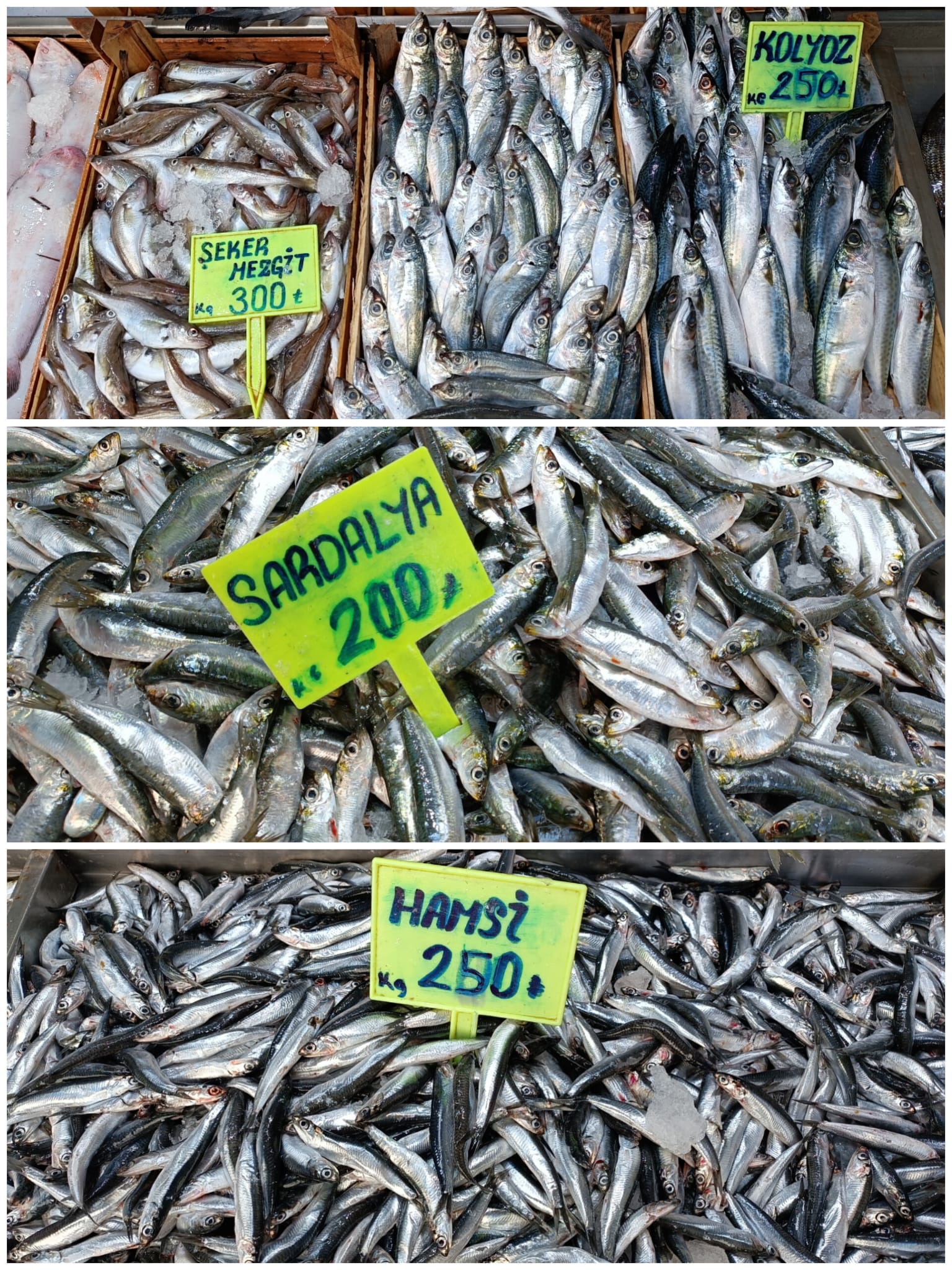 87F7Aa82 Cdba 4C80 A9Fe C2068Eac8792