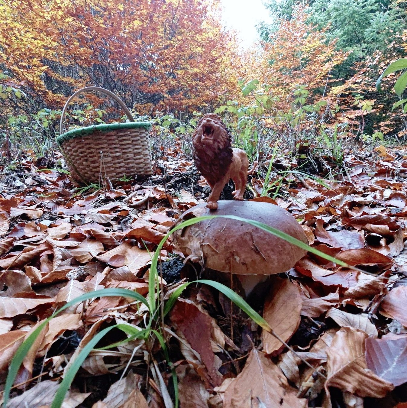 Aabdf67E 05Bd 41E1 B268 F54Bc1F029Fb