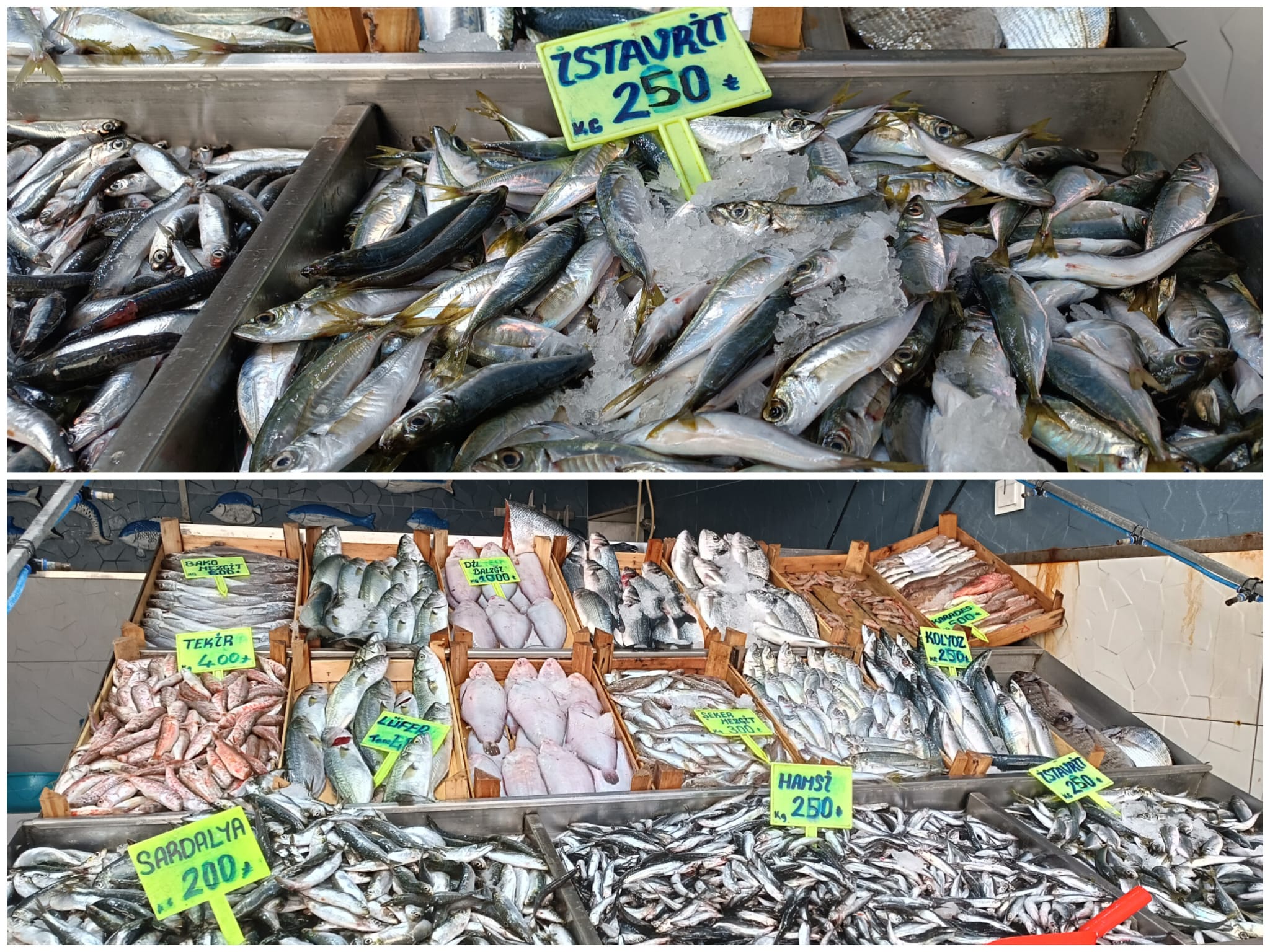 D837Dad8 Aefb 481E A163 56C669910195