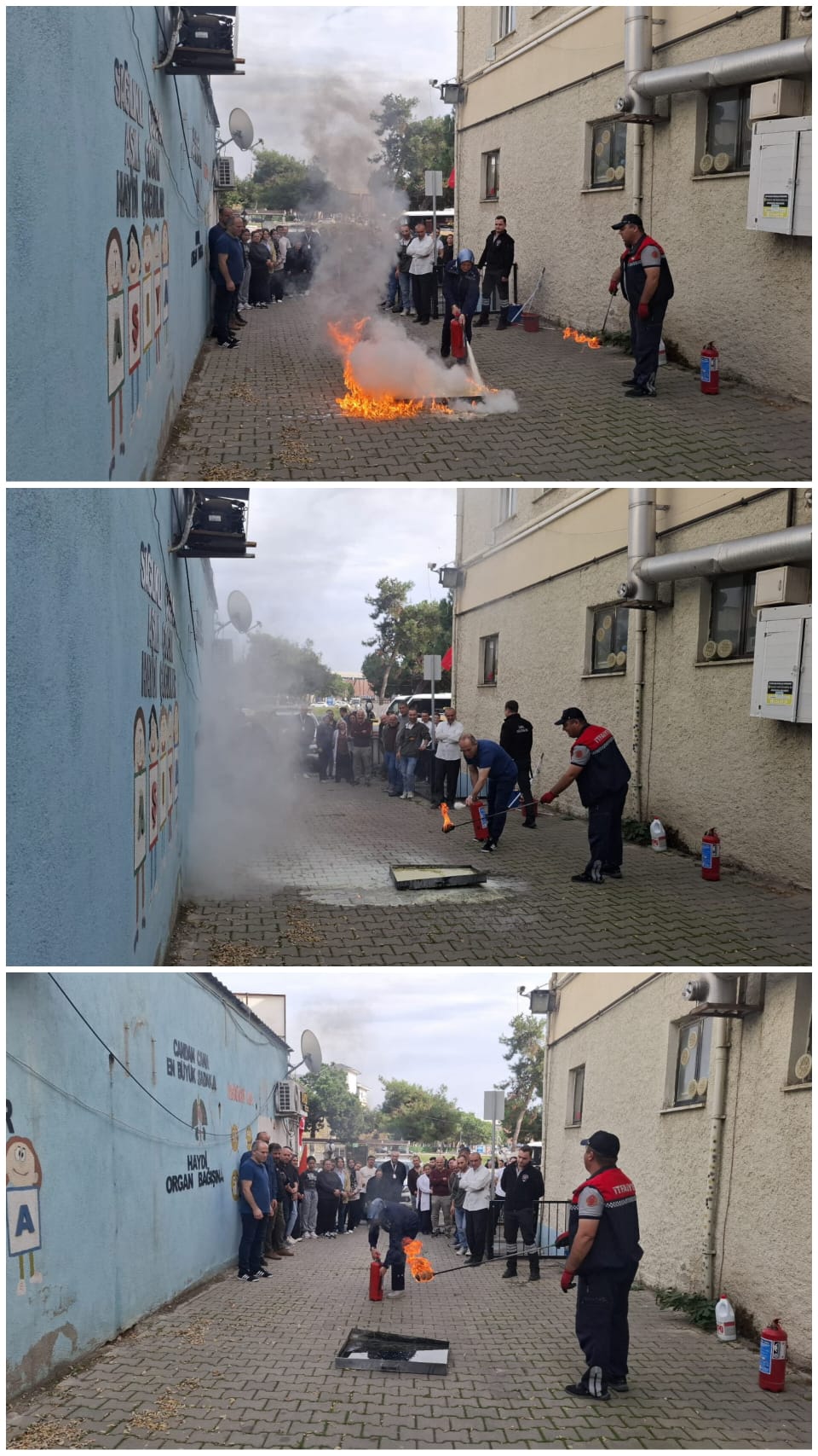 F6246F38 5137 4489 86Ea 7D62B6Ab1Bda