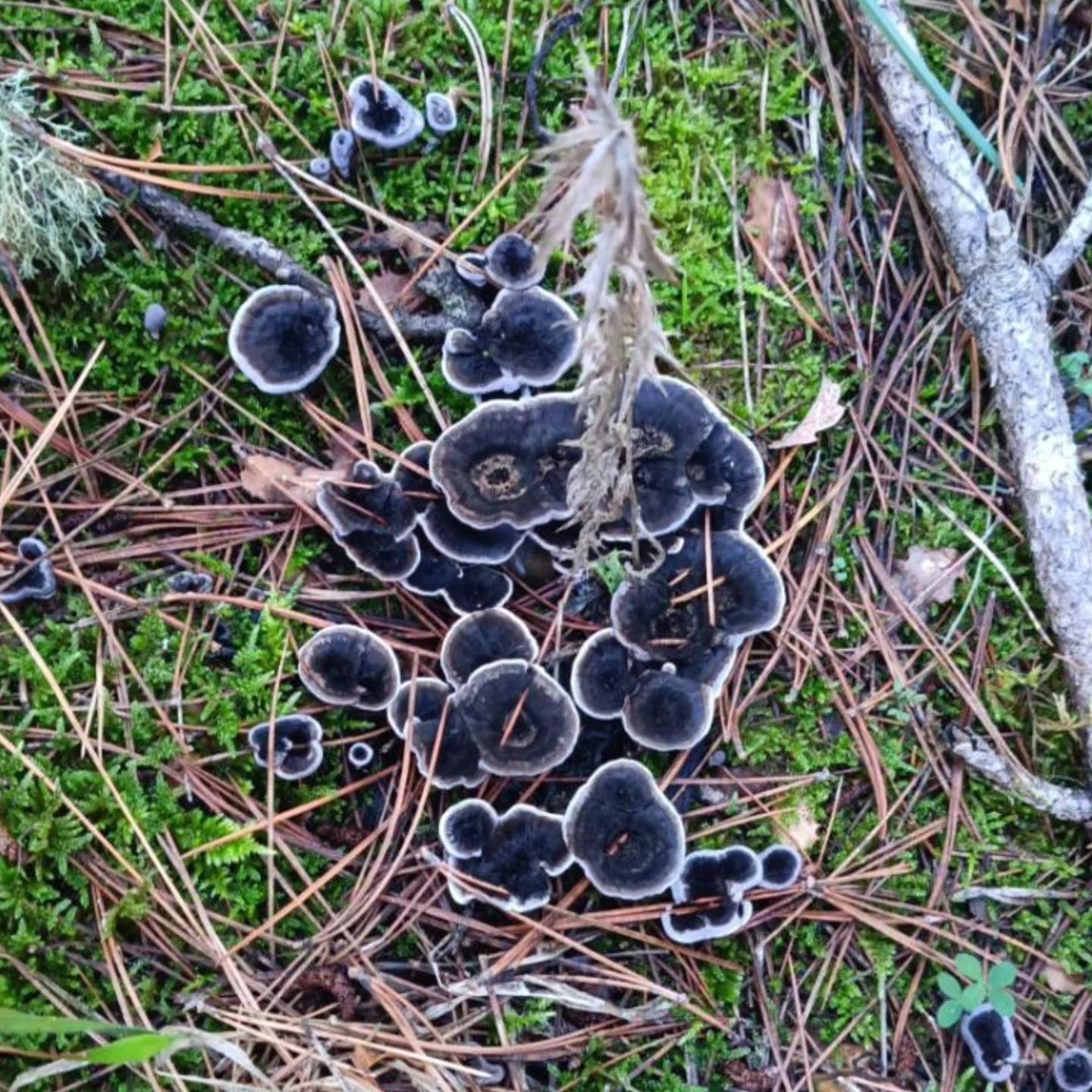 04B69270 Ee76 44F4 A7C7 Fcc5E49643E6