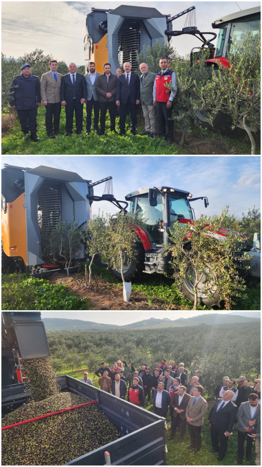 06413197 64D0 4885 A5F6 Ba606Bdd4725