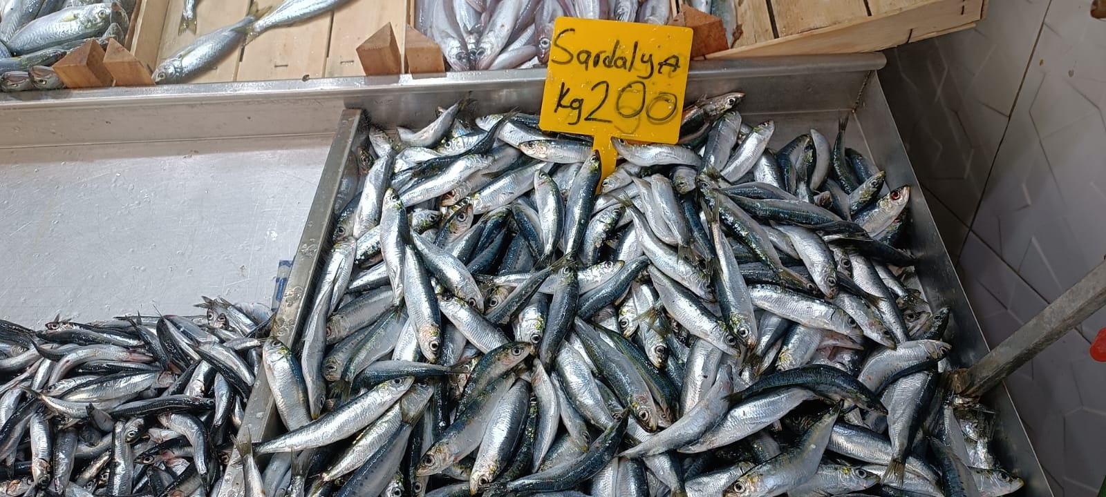 0814748D Ba92 444E Ad1B 199345798416