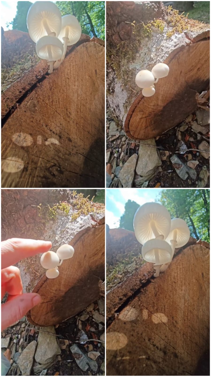 0B53840F F838 473A B73F 573F60974F18