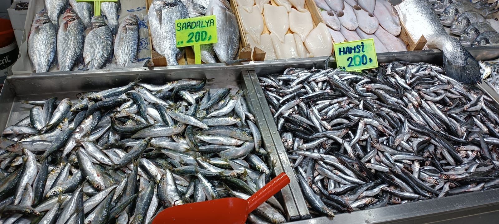 11Ed77Ef 0D05 4D0D B005 6E6C2Cec8C6D