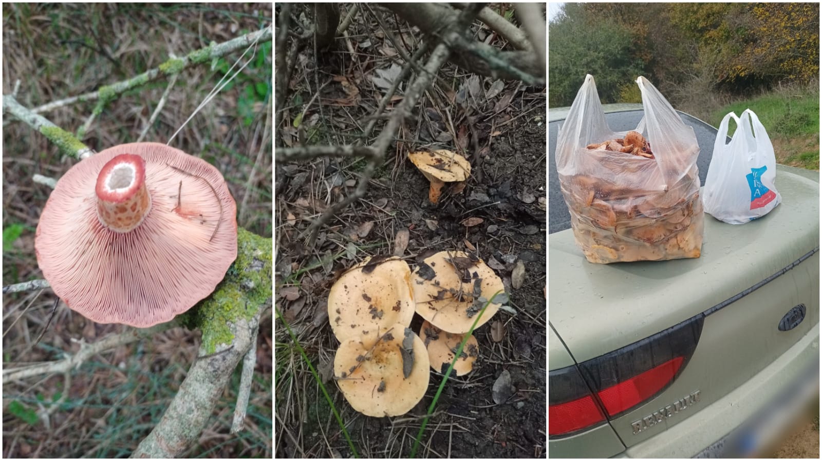 17D002B5 Eea7 4060 A740 Fa74049238E9