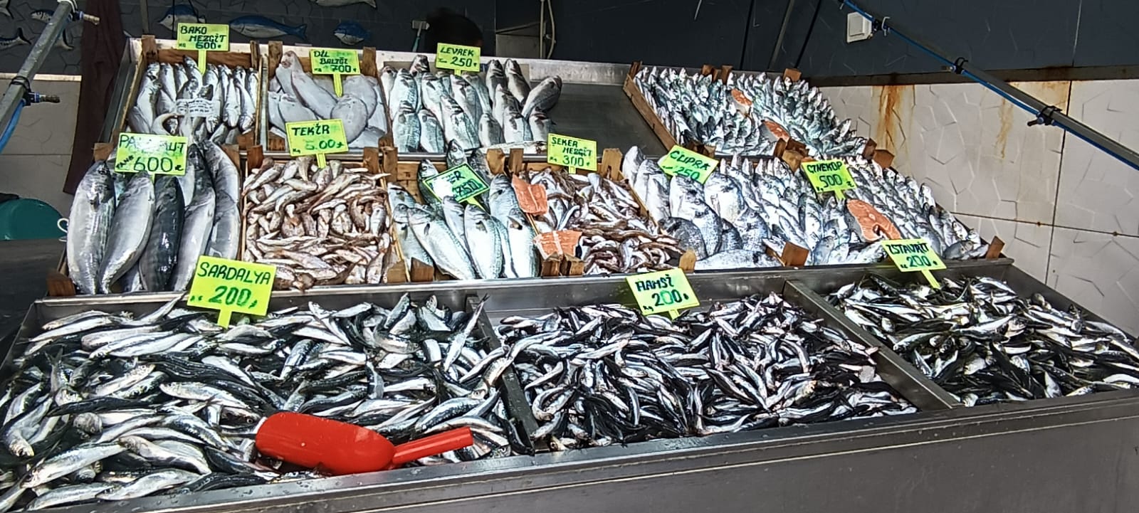 1Bb4A14F 1A62 4Bb1 A7Ba B09Bb28867Ff