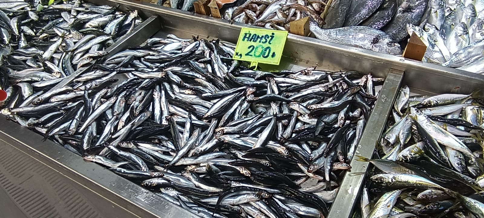 2B2E0873 7705 4633 8Fd6 Beb536C6C45E