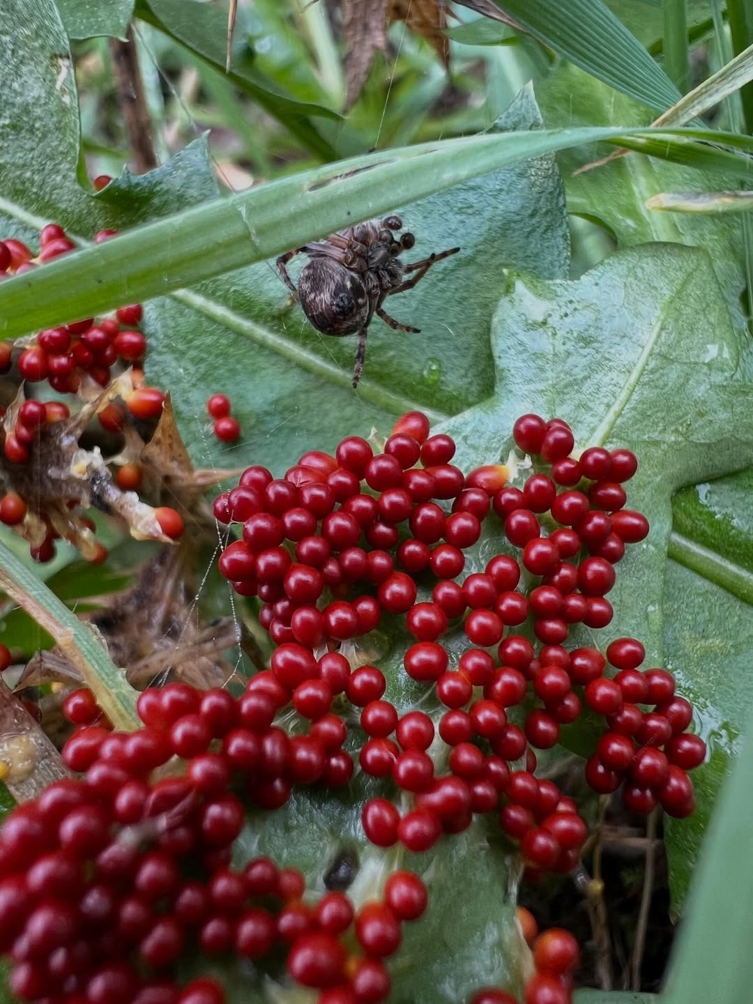 3758496C 8673 4735 86Db A5Bfa82616C8