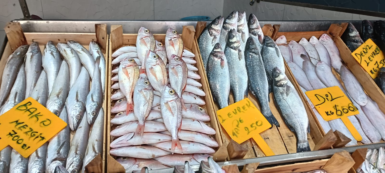 39133Eb9 4B4D 4A35 92C8 F940Aefbc1C7