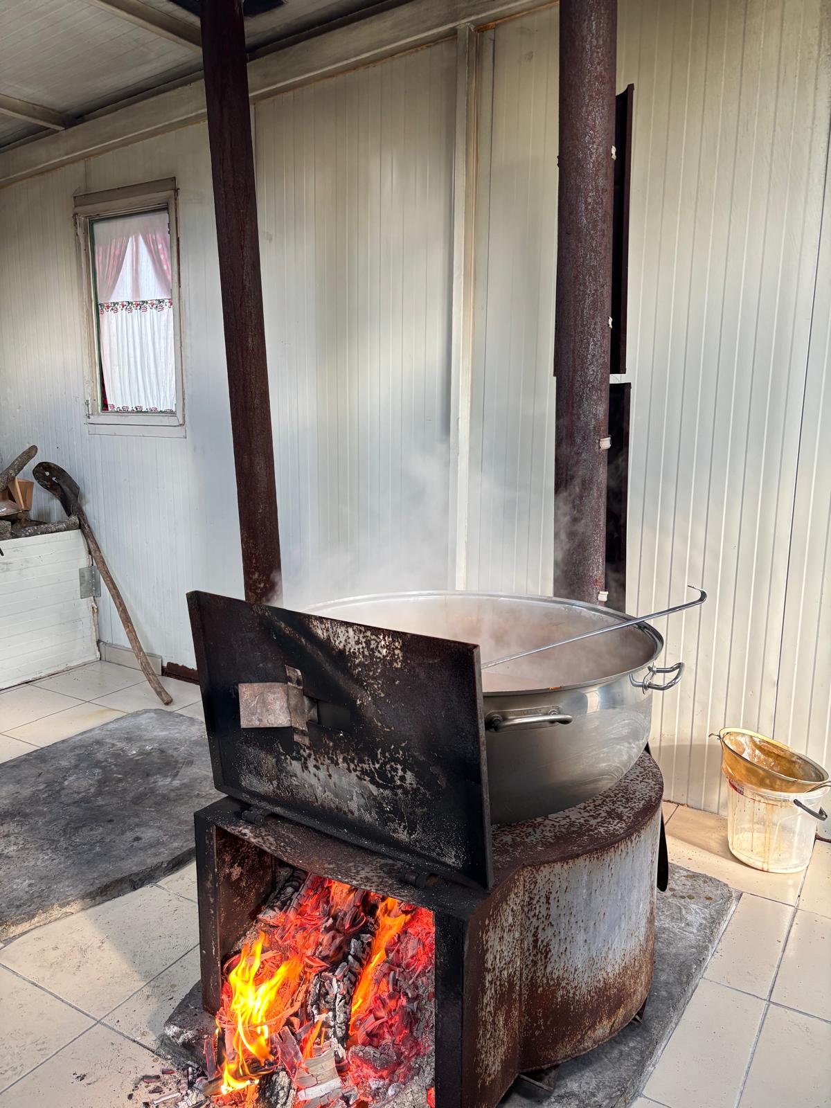 3A053295 5Ac1 4C5A 9Ed5 F59B945Ad97B