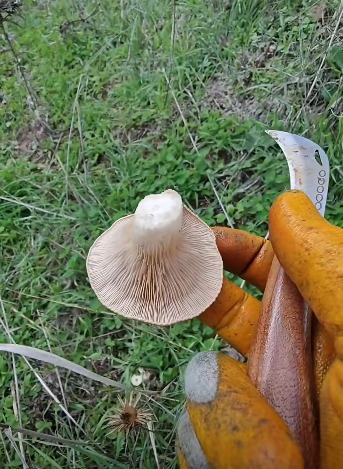 3D703867 6F13 4Ece 95A8 2A9Ece1F6416