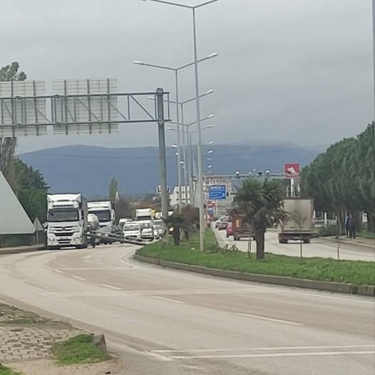 3E3C5Eee 3F28 4Eaa Ab55 38E96072A4Cd