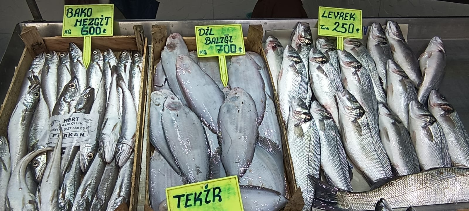 42Dce1De Cf01 4772 81Cd 99F2Bb2E094A