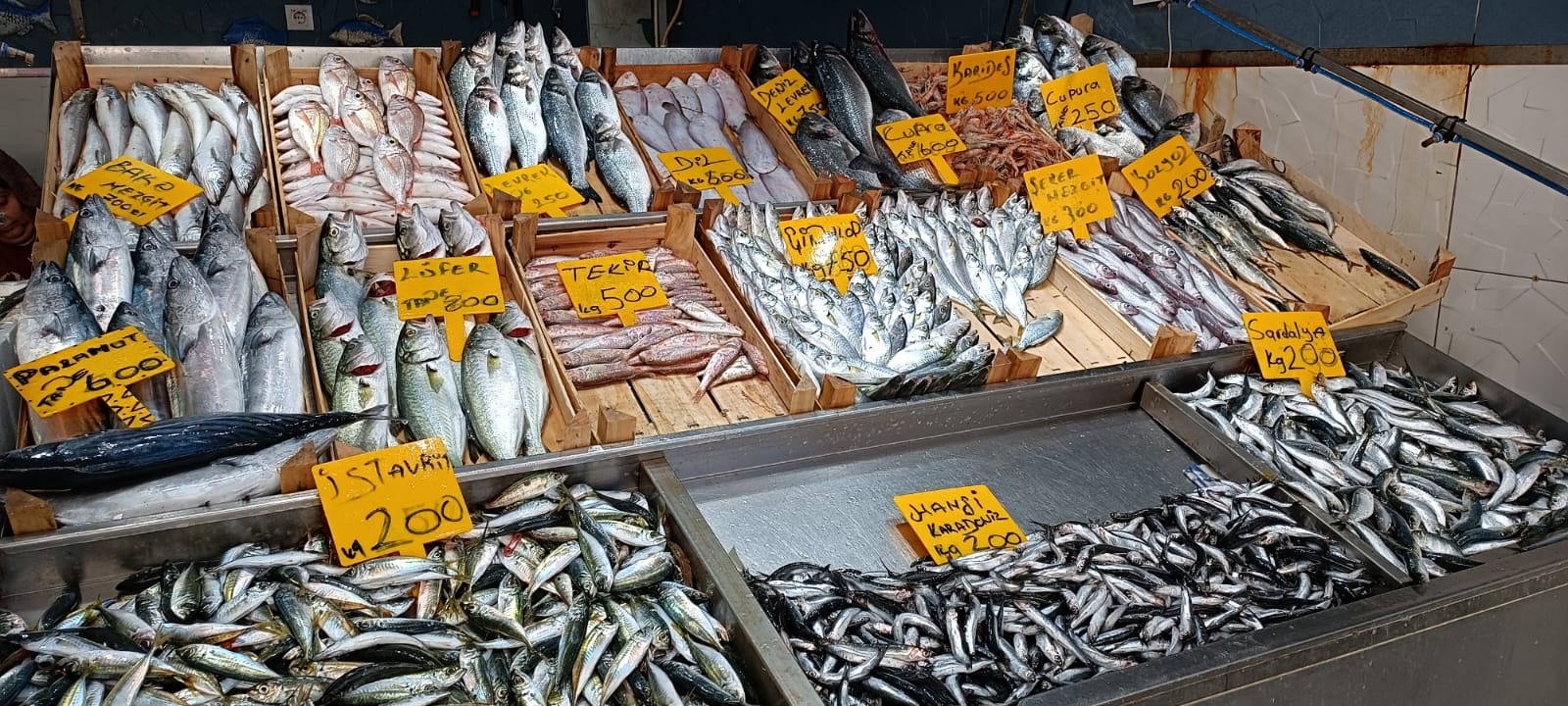 47B342D2 22A1 4784 8252 E34A1Cfd82B1