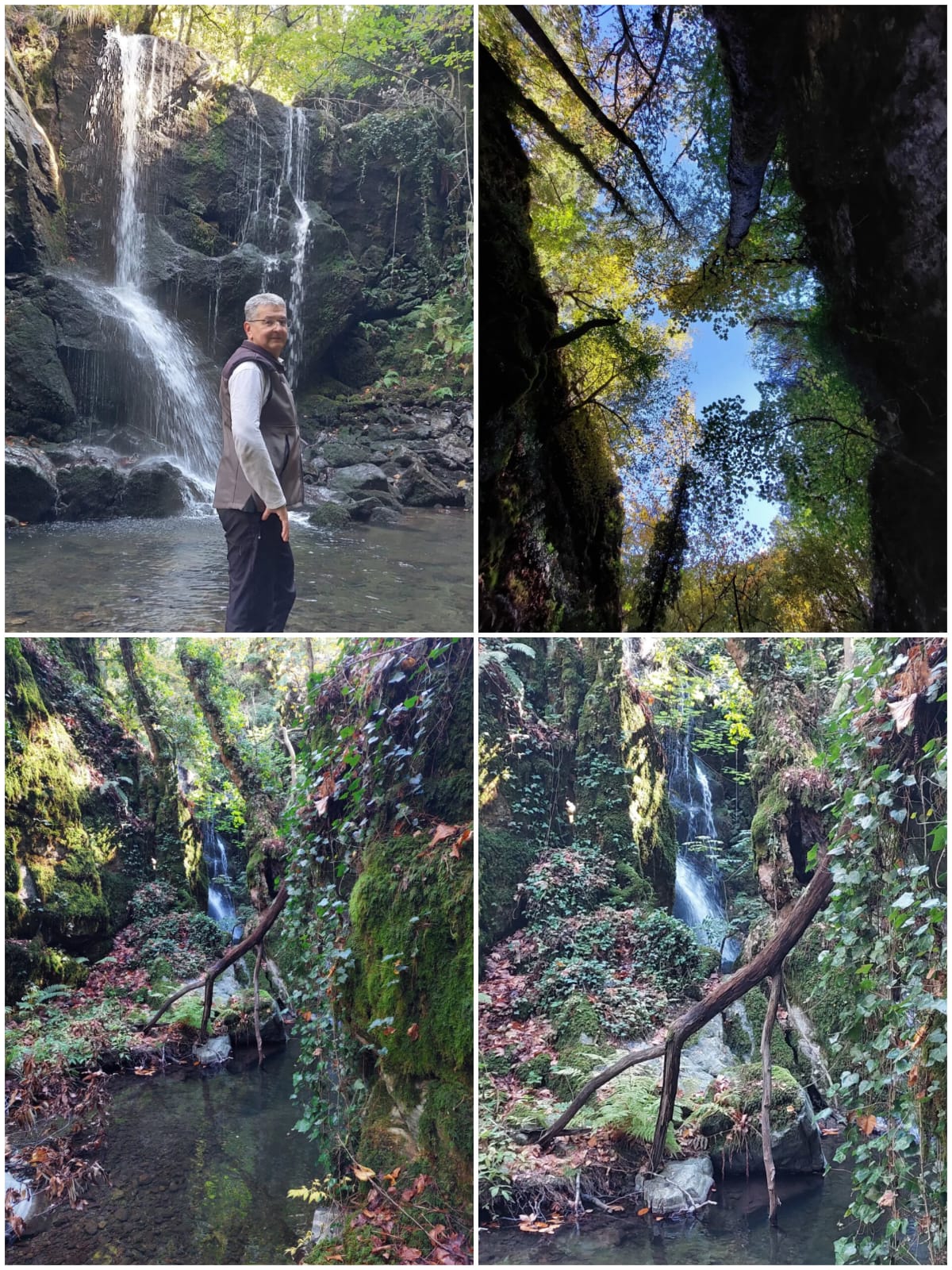 47B58E0D B201 4250 9108 39Fa95E44839