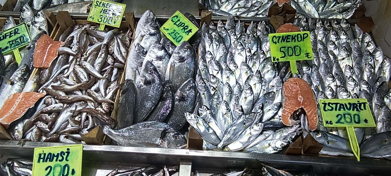 4D339Cd2 7E38 466E B689 D6F9A7C6D47D