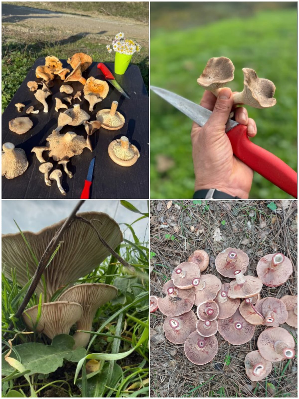 51954Be8 93Df 435A 99B2 Eb3C41C78E1B