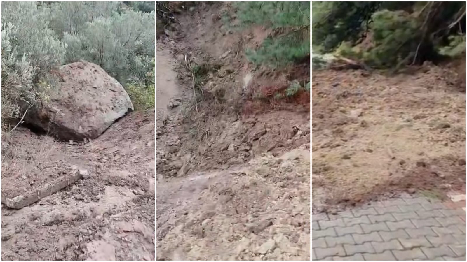 5227B88A 2C4D 4Ee6 Bfcc 1C67D8678049