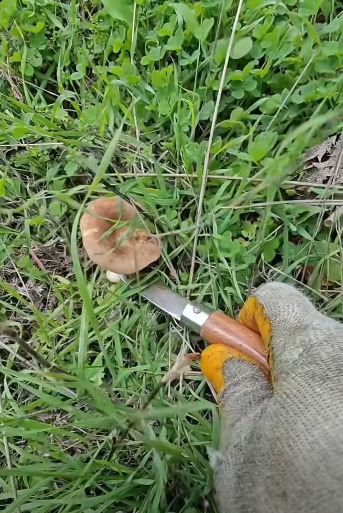 55Aed12A 54D2 4725 9887 Fcd4A08C8A6D