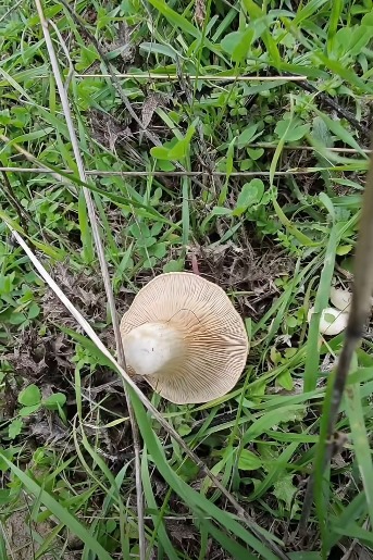 575Ba00C 82A2 4239 Ab61 401E969E93Fe