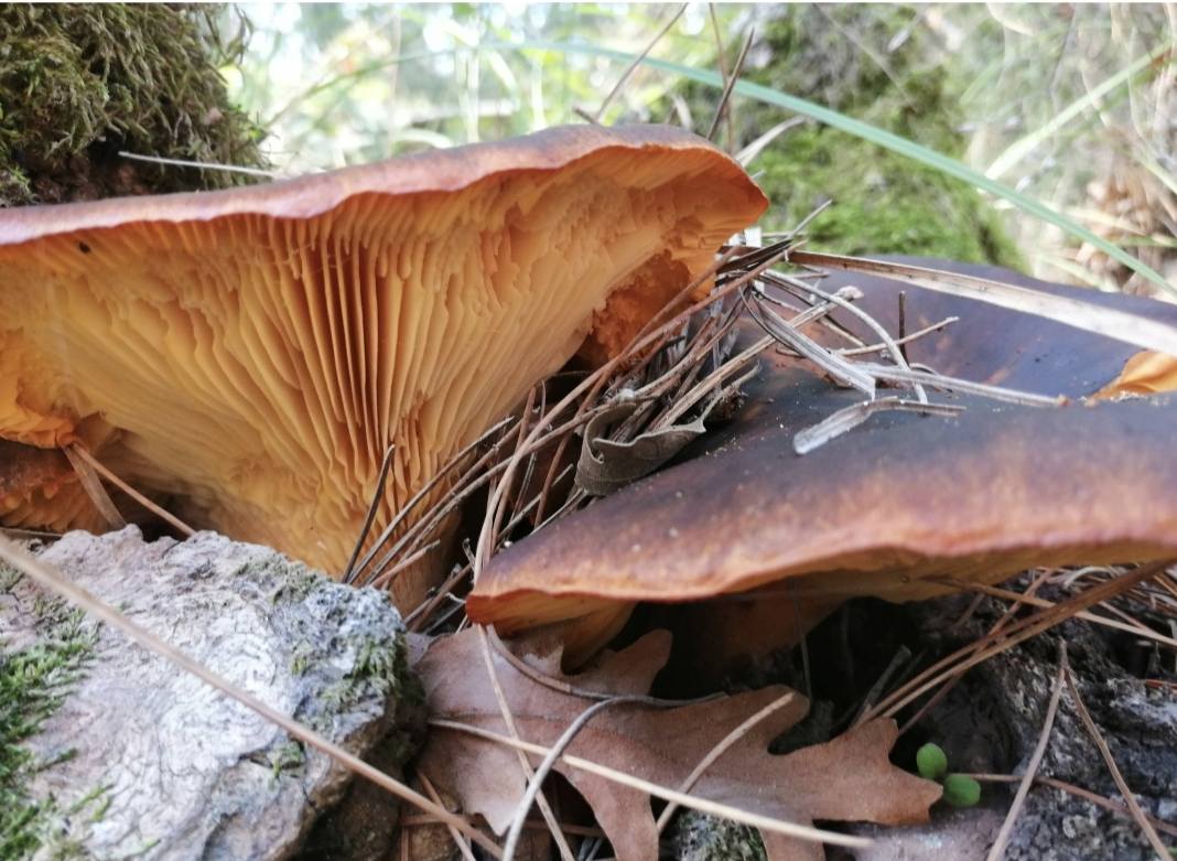 576091791 10225900716579368 18370858598079395 N