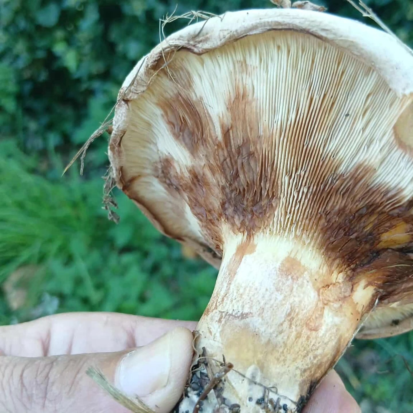 581896059 10226020017241810 3215363182666738811 N