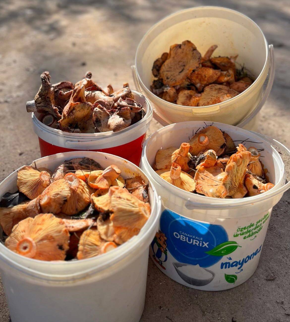 582255310 25790334707236290 2576060622232040207 N