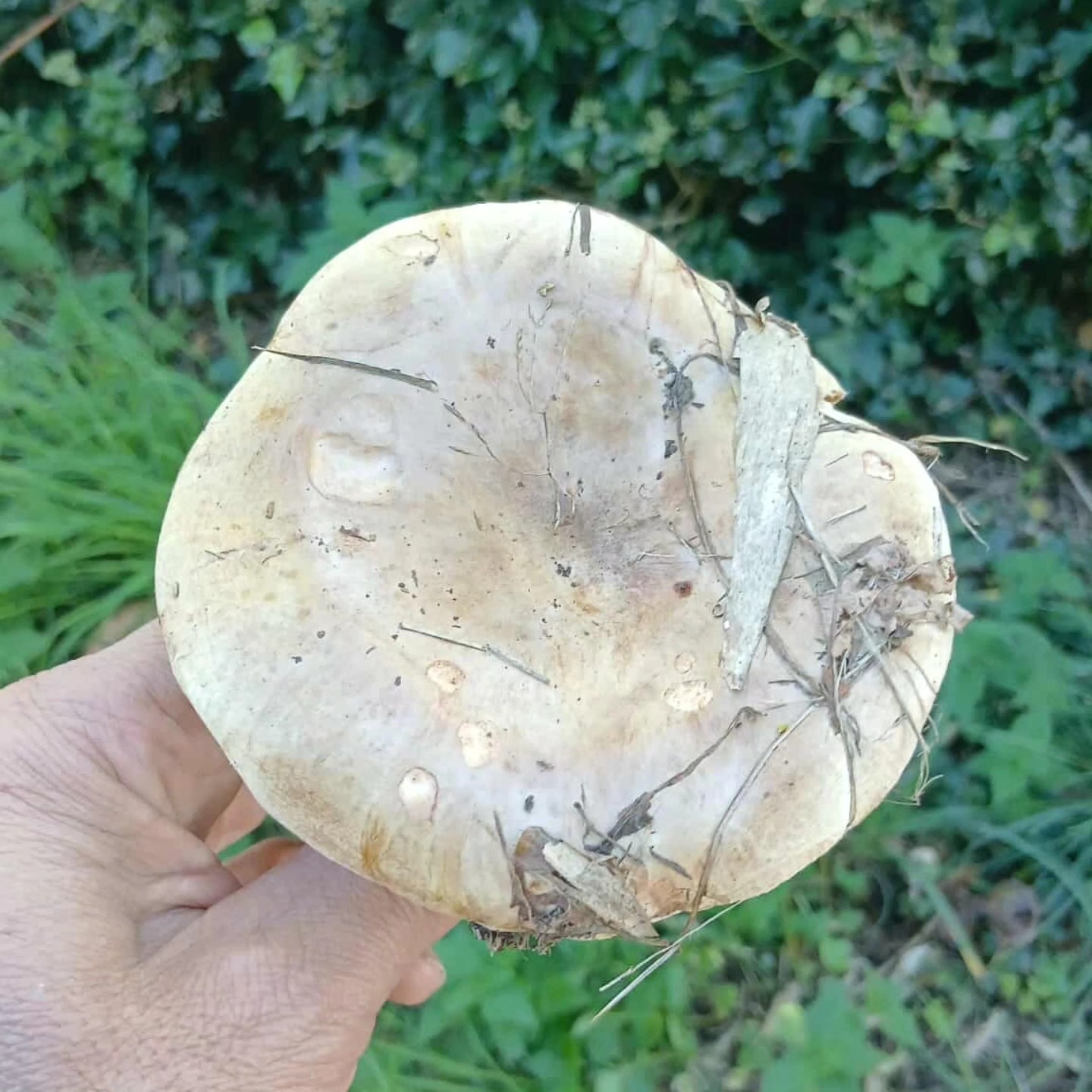 582936930 10226020017201809 212805488227447221 N