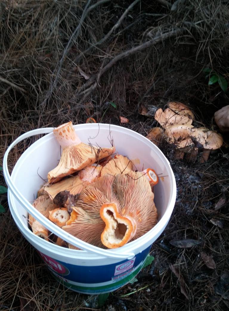 583647180 25790335573902870 821455997815625453 N