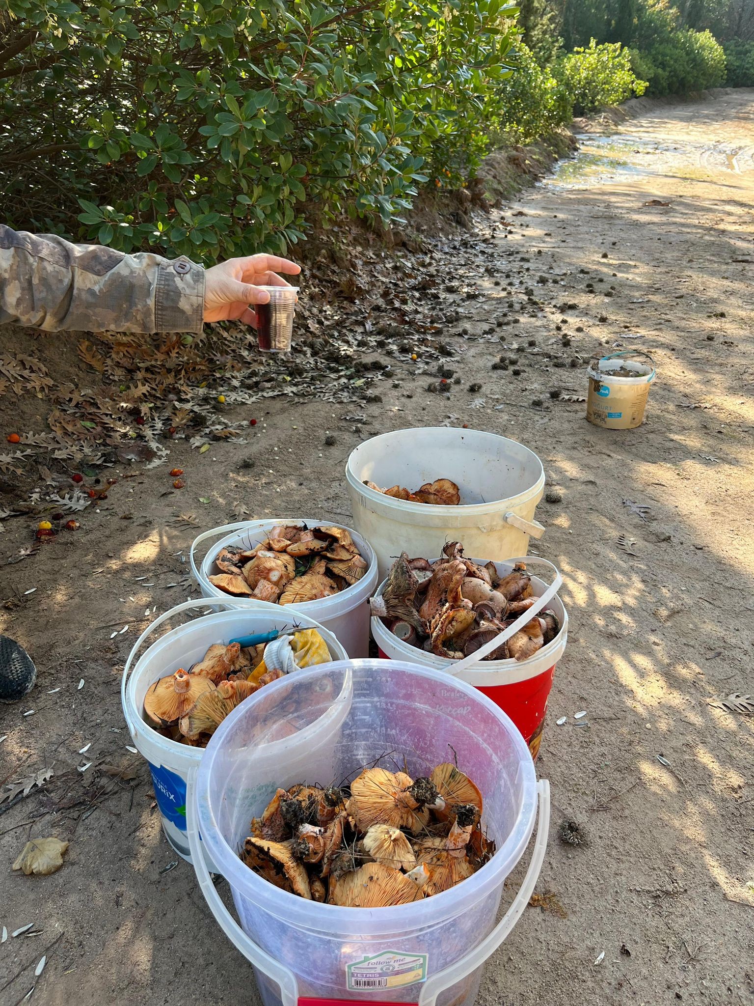 585146793 25790336203902807 7877526086266755812 N