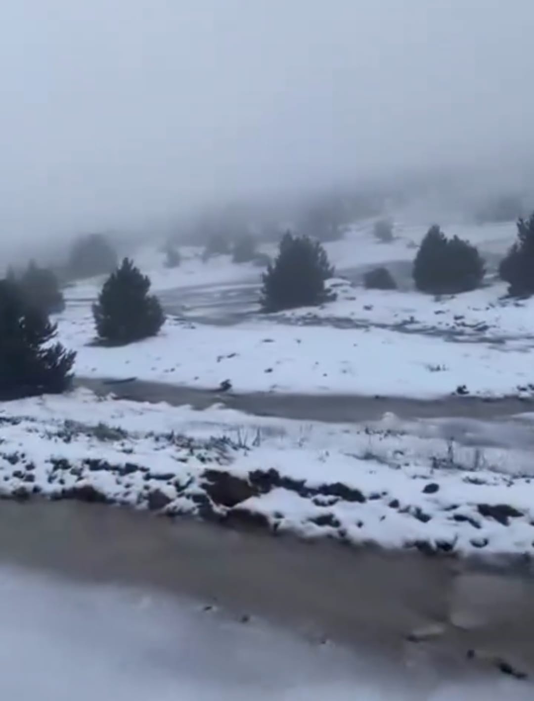 5D9408B1 Aaa5 4Eaa A18F 3Fd2544A1692