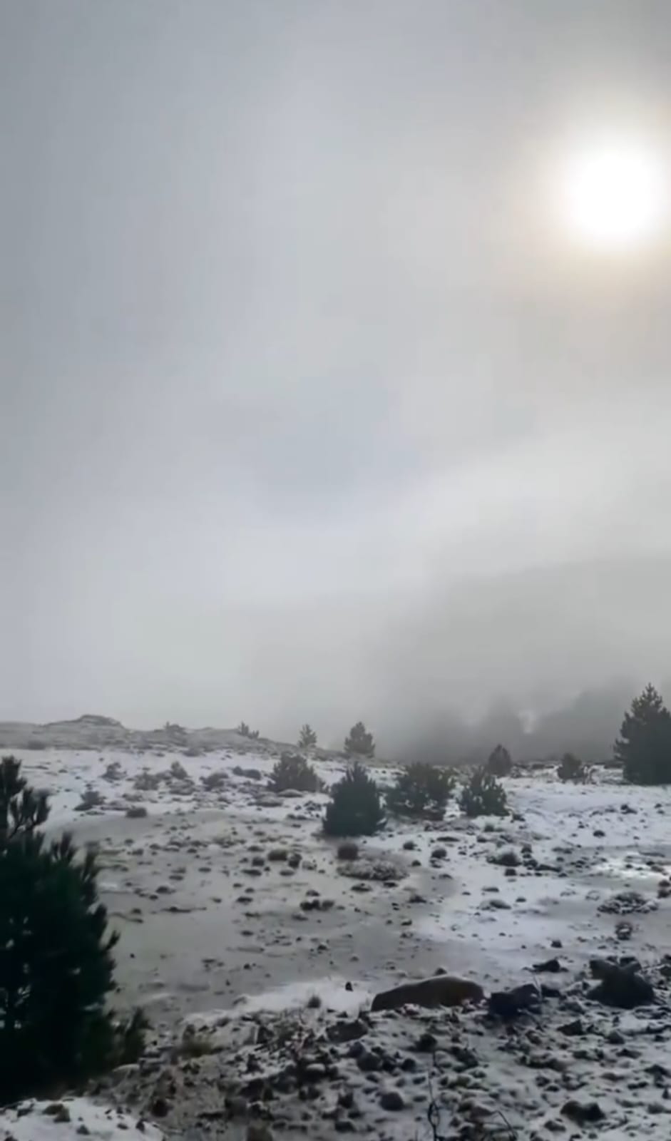 6B501A20 5480 4Eaf 8C5C 9F859719E096