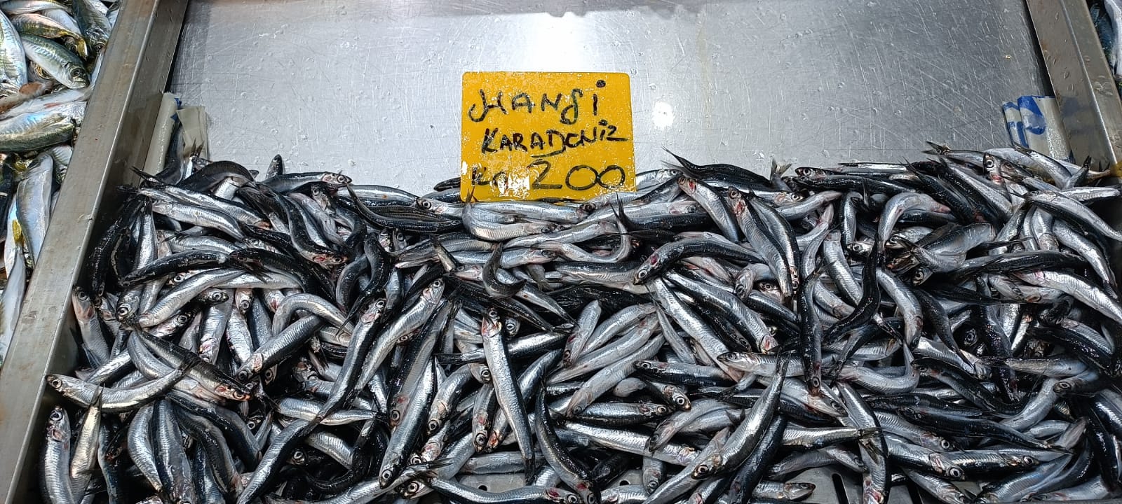 6Badc643 A802 4564 A5F8 558Cf8E9Aa41