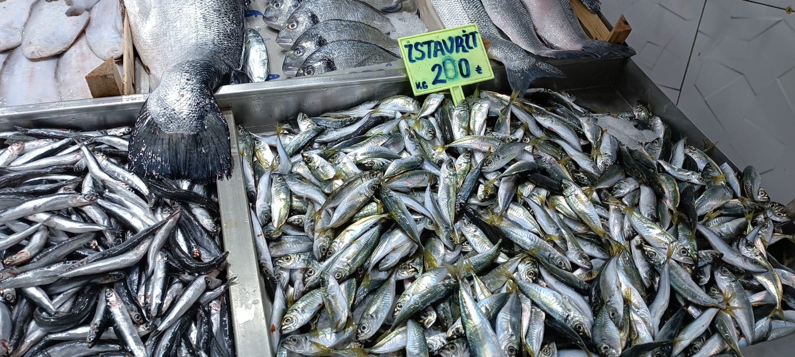 6D9F36C4 1E82 42B4 A0Eb 5353E3B50A68