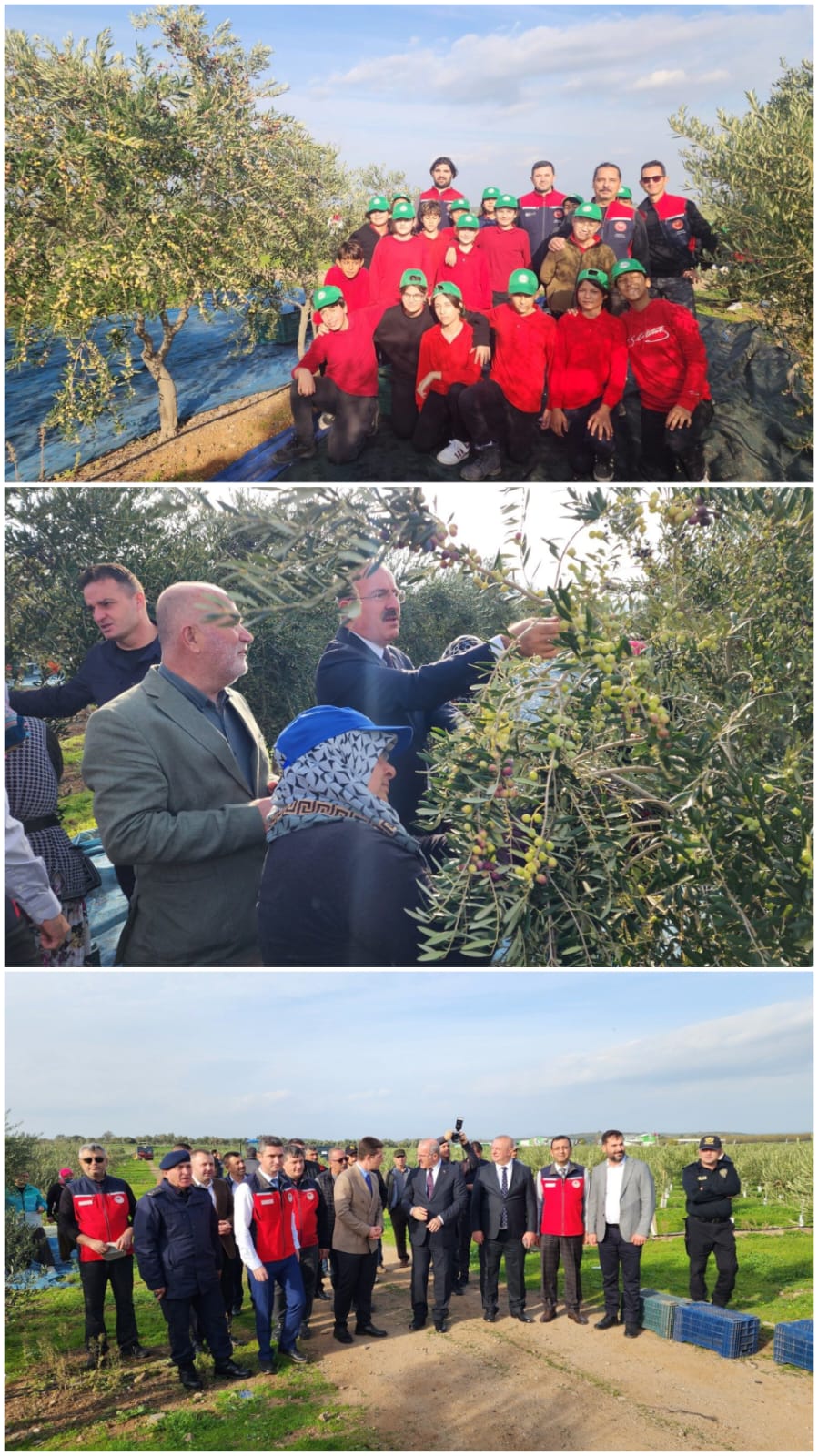 6F9787Db Bbbb 41A5 8530 D185Ffc03Bf9