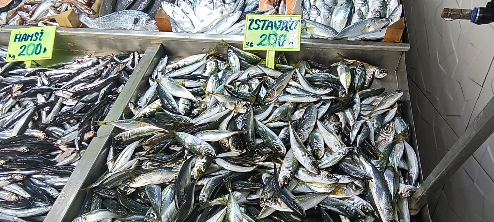 710827Ee 1Baf 455A A0B5 3A9E02B8Ec37