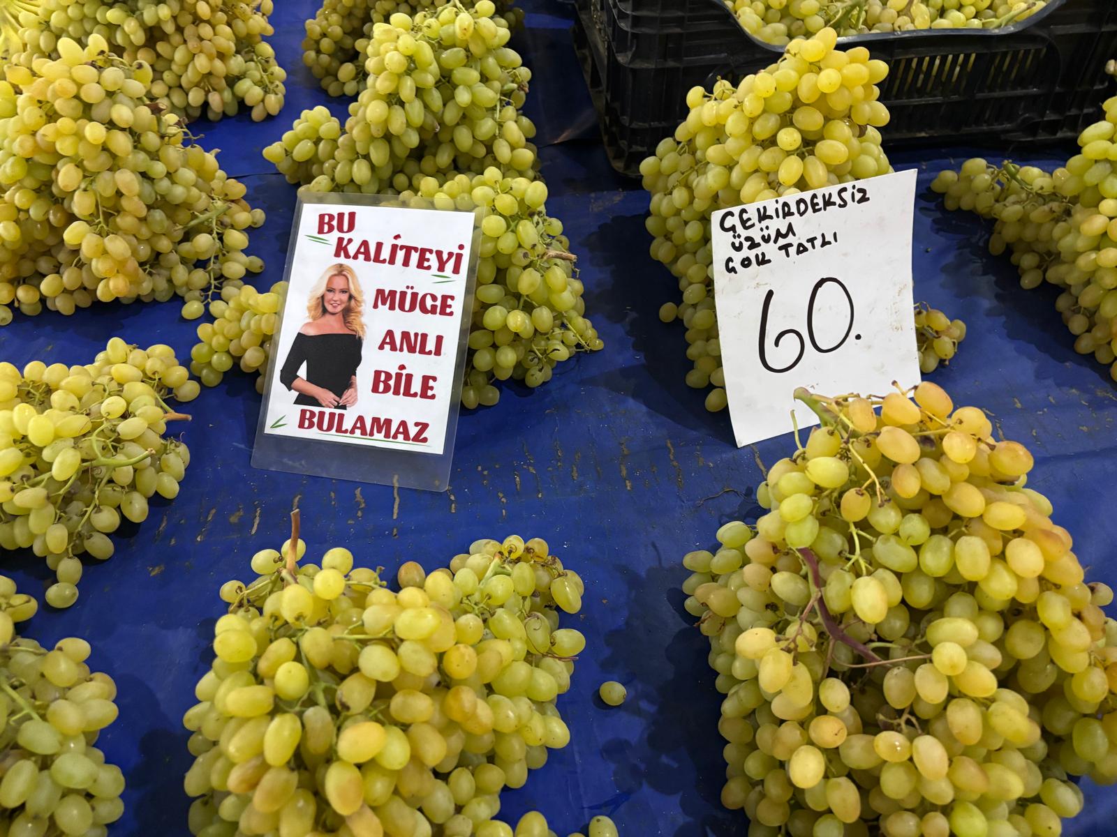 74426E24 2C56 4D63 9E2C 6B4Bf7E99Dac